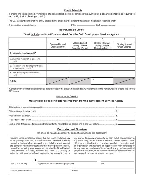 Form Cat Cs Fill Out Sign Online And Download Printable Pdf Ohio