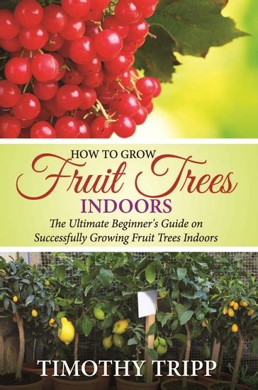 How to Grow Fruit Trees Indoors - The Ultimate Beginner's Guide on ...