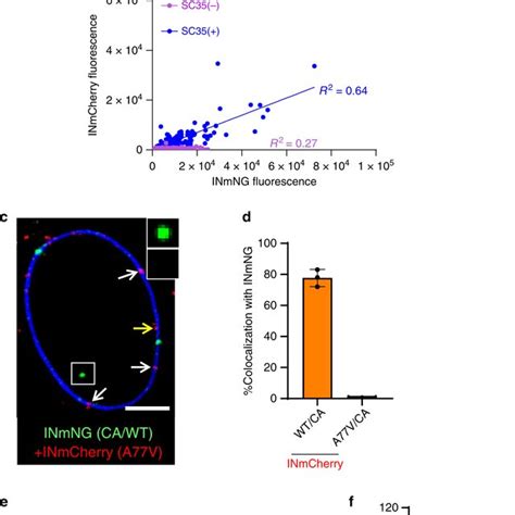 Evaluating The Roles Of Tnpo3 Nup153 And Cpsf6 In Hiv 1 Nuclear Entry