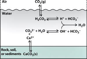 Carbonate and Bicarbonate in Water