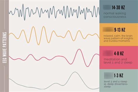 Diagram of Brain Waves Unit 5 | Quizlet