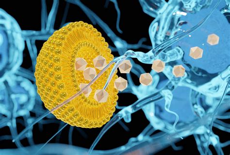 Current Trends In Nanomedicine Notable FDA Approvals And Clinical