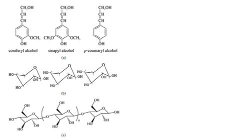 Lignocellulose Structure