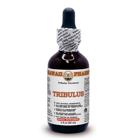 Tribulus Tribulus Terrestris Dry Fruit Liquid Extract Expertly Extracted By Trusted