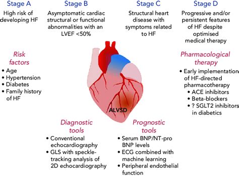 Stages Of Heart Failure Chart