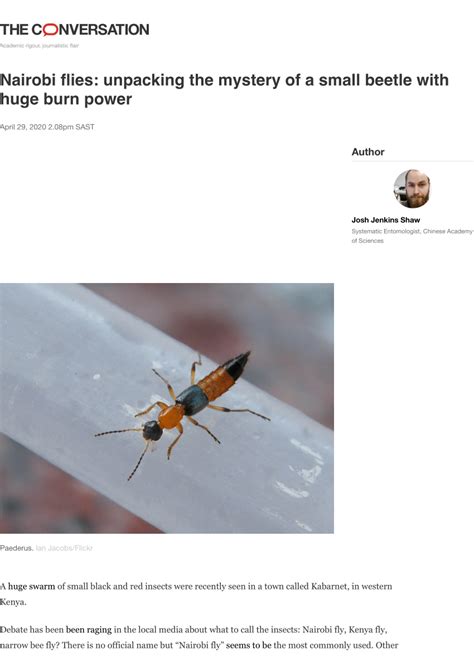 Pdf Nairobi Flies Unpacking The Mystery Of A Small Beetle With Huge