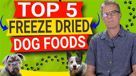 Top 5 Freeze Dried Dog Foods 2024 Youtube