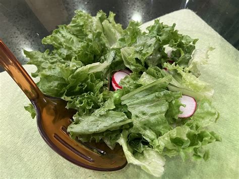 Leafy Salad W Radishes Carla Putnam Flickr