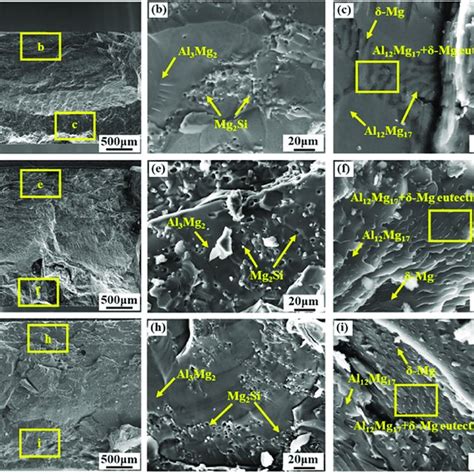 Sem Morphologies Of The Fracture Surfaces Of The Mg Al Bimetals At The