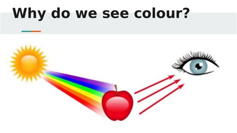 Why Do We See Colour Teaching Resources