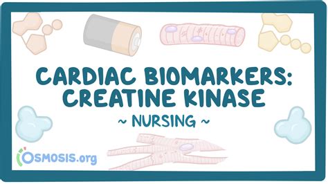 Cardiac Biomarkers Creatine Kinase Ck Nursing Video Causes