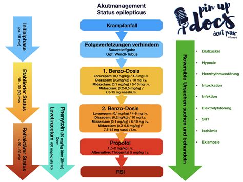 Akutmanagement Status Epilepticus Pin Up Docs Don T Panic