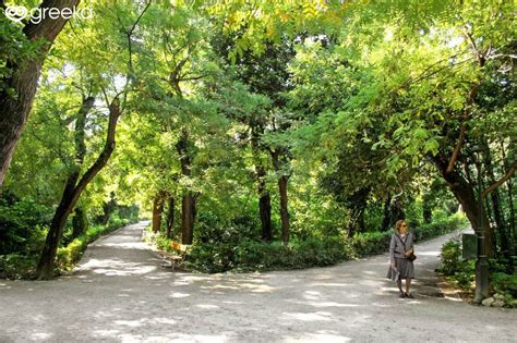 Hills And Parks Of Athens Greece Greeka