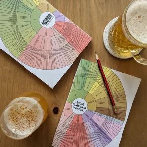 Beerdredge Beer Flavour Notebook Explore The Beer Flavour Wheel