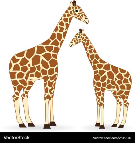 Giraffe Royalty Free Vector Image VectorStock