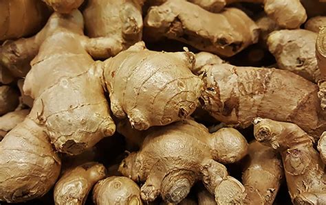 How To Grow Ginger In Colder Climates - It might be a tropical plant ...