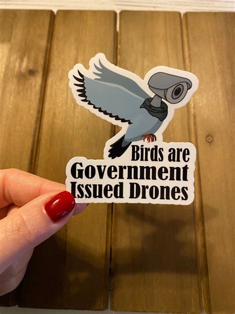 Birds Are Government Issued Drones Funny Sticker Birds Etsy