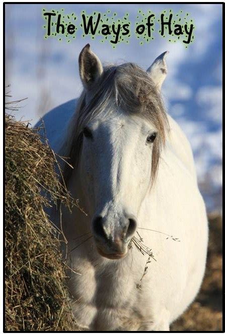 The Equine Nutrition Nerd The Place For Easy To Understand