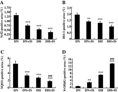 Immunostaining Positive Areas Of Nrf2 Ho 1 Nqo1 And 8 Ohdg In The