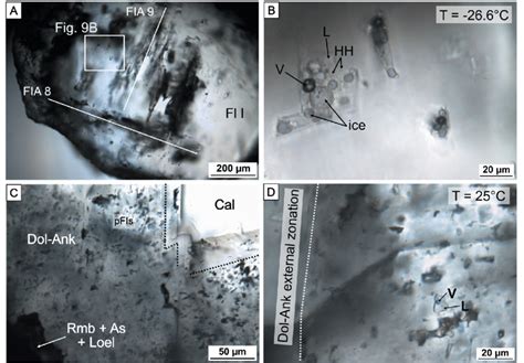 Photomicrographs Of Primary Fluid Inclusions Pfis A Overview Of