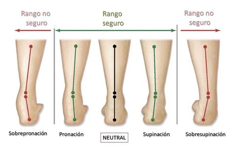 Qué tipo de pisada tengo CLÍNICA PODOLOGÍA ELENA GARCÍA