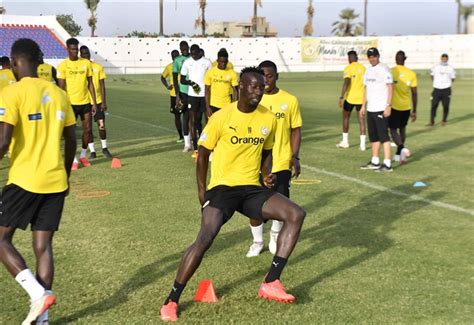 Arrivée des Lions du Sénégal au Cameroun aDakar Photos