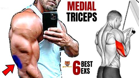 6 Best Medial Tricep Exerices At Gym Musculation Portion Médiane Des Triceps Youtube