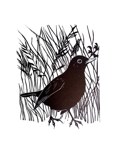 Blackbird Linocut By Carolynne Coulson Artfinder