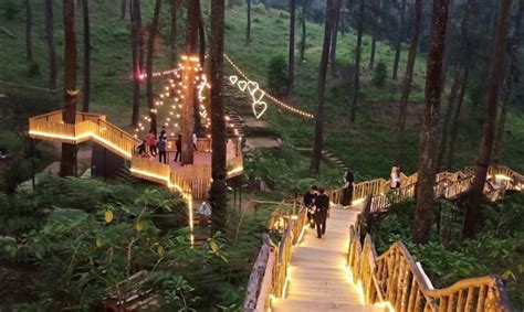 Harga Tiket Masuk Orchid Forest Cikole Lembang Terbaru