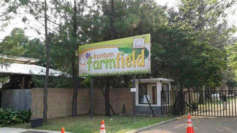 Kuntum Farm Field Bogor Aktivitas Harga Tiket