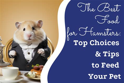 The Best Food For Hamsters Top Choices And Tips To Feed Your Pet