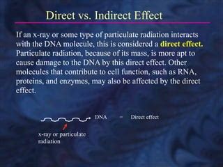 Radiation Biology PPT