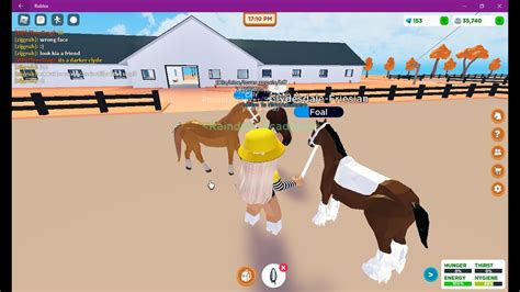 New Foal Horse Valley Roblox Youtube