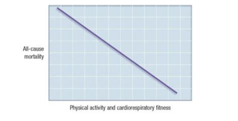 Exercise Physiology Chapter 9 Health Benefits Of Physical Activity