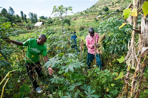 Impact Tot In Detail One Acre Fund