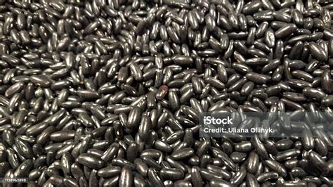 Black Bean Seed Background With Copy Space Stock Photo Download Image