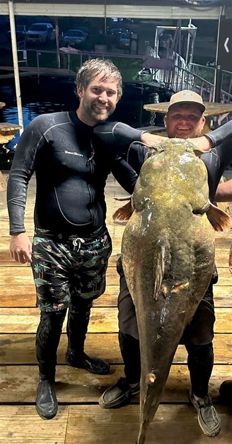 World Record Flathead Catfish Noodling