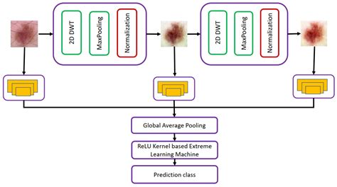 Diagnostics Free Full Text Skin Cancer Detection Using Deep