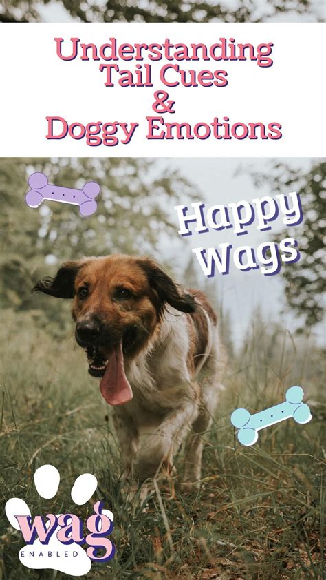 Dog mom tips understanding your dog s emotions through body language ...