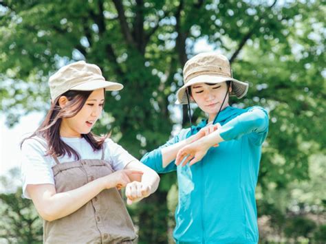 【アウトドアに行く前に知っておくべきこと】マダニ、ハチetc山の生物に刺されたり噛まれたときの対処法 With Class 講談社公式 家族の時間をもっと楽しく