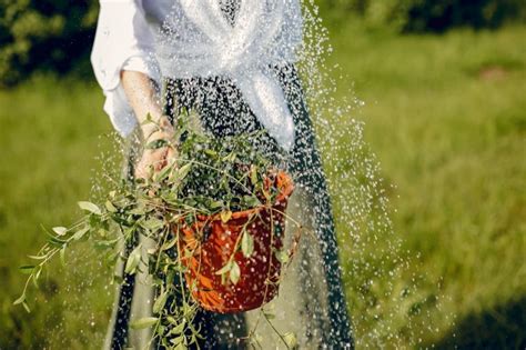 Landscaping In Jacksonville Fl Expert Services Scapesnfl