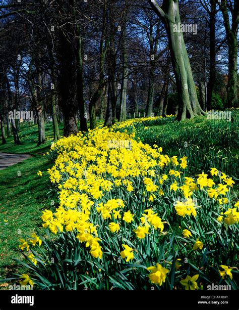 Ormeau Park Belfast Hi Res Stock Photography And Images Alamy