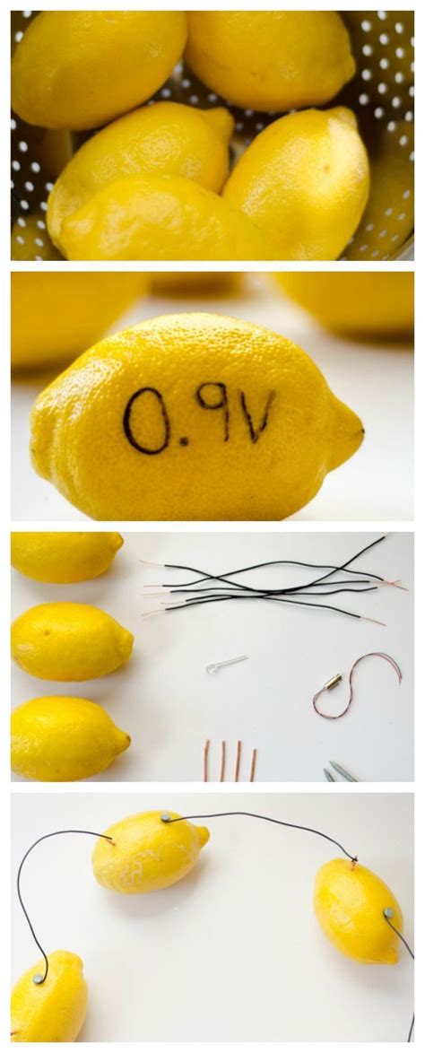 Make A Battery From Lemons Lower Elementary Science Projects For