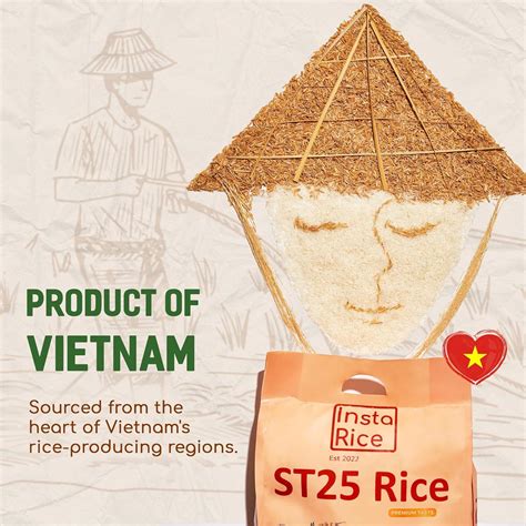 Insta Rice Premium ST25 Rice Fragrant Rice Sticky Rice From Vietnam