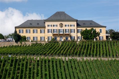 Schloss Johannisberg: 300 years of riesling excellence - VineRoutes ...