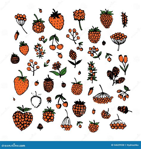 Berries Collection Sketch For Your Design Stock Vector Illustration