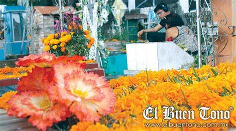 Flor de cempasúchil símbolo de tradiciones El Buen Tono