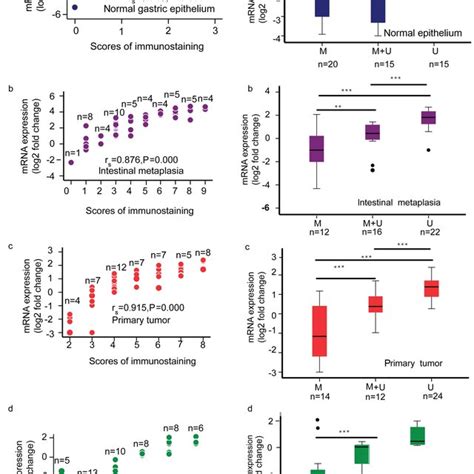 Correlation Of Claudin 3 Mrna Expression With Claudin 3 Protein