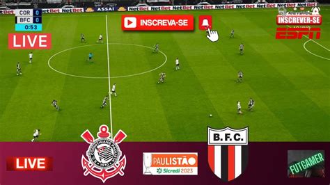 Ao Vivo Corinthians X Botafogo Sp Campeonato Paulista Botafogo Sp X