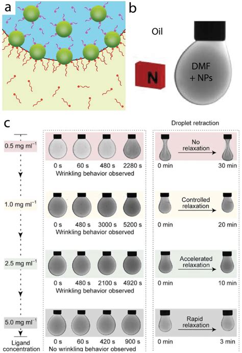 Reconfigurable Mechanical Properties And Magnetic Response In A NP